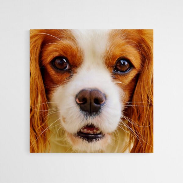 Cavalier king charles spaniel art