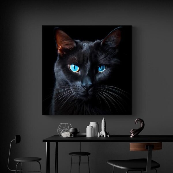 Black cat blue eyes