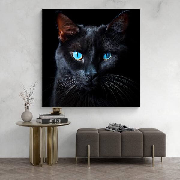 Black cat blue eyes
