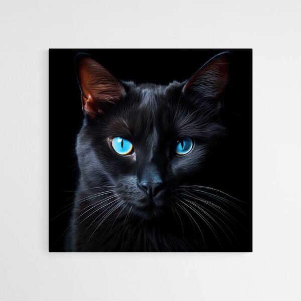 Black cat blue eyes